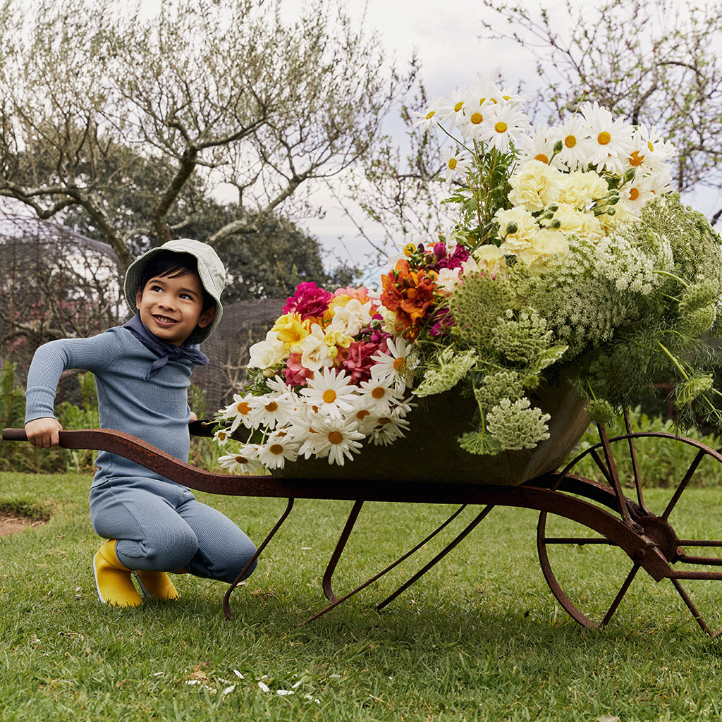 boy in garden pushing wheelbarrow full of flowers