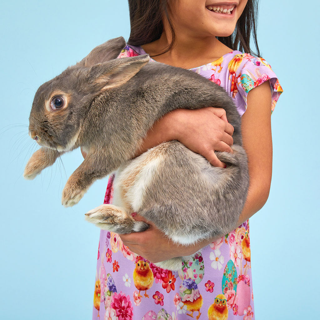 child holding rabbit