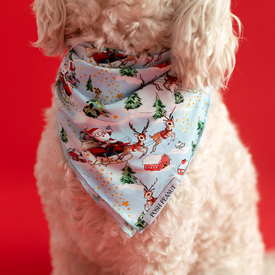 Pere Noel Dog Bandana