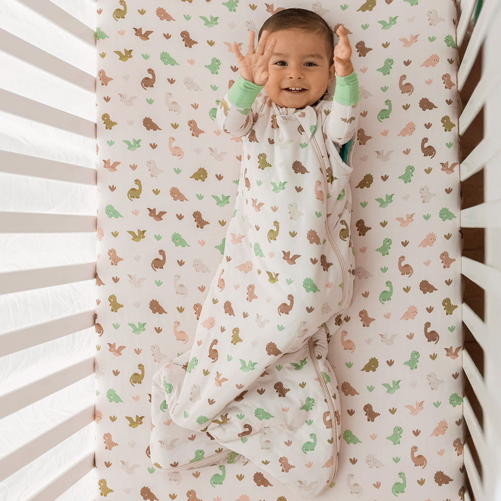 Posh Peanut sleeping sack and top matching onesie