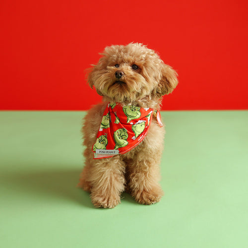 Dr. Seuss The Grinch Dog Bandana