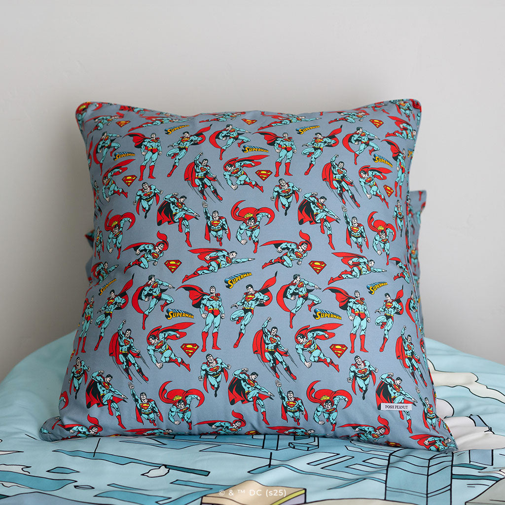 Superman Euro Sham