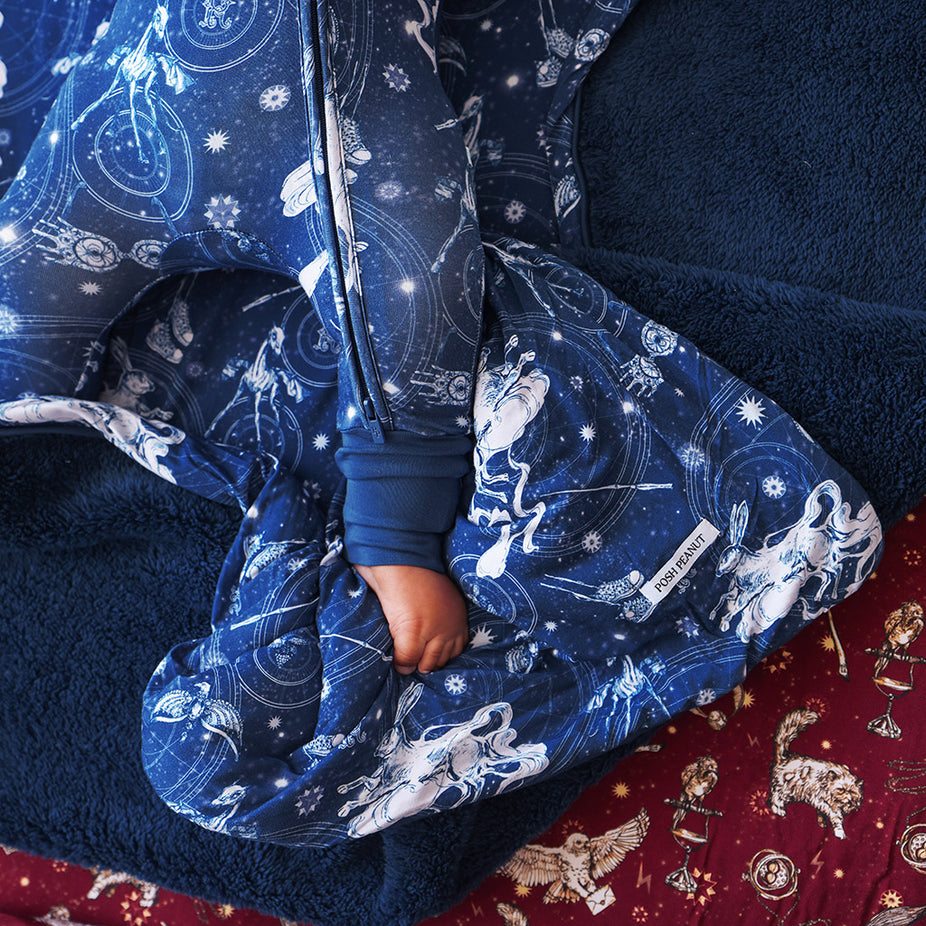 Ravenclaw House Luxe Plush Patoo® Blanket