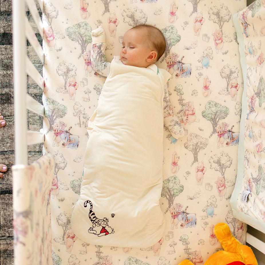 Disney Hundred Acre Wood Sleeveless Sleep Bag