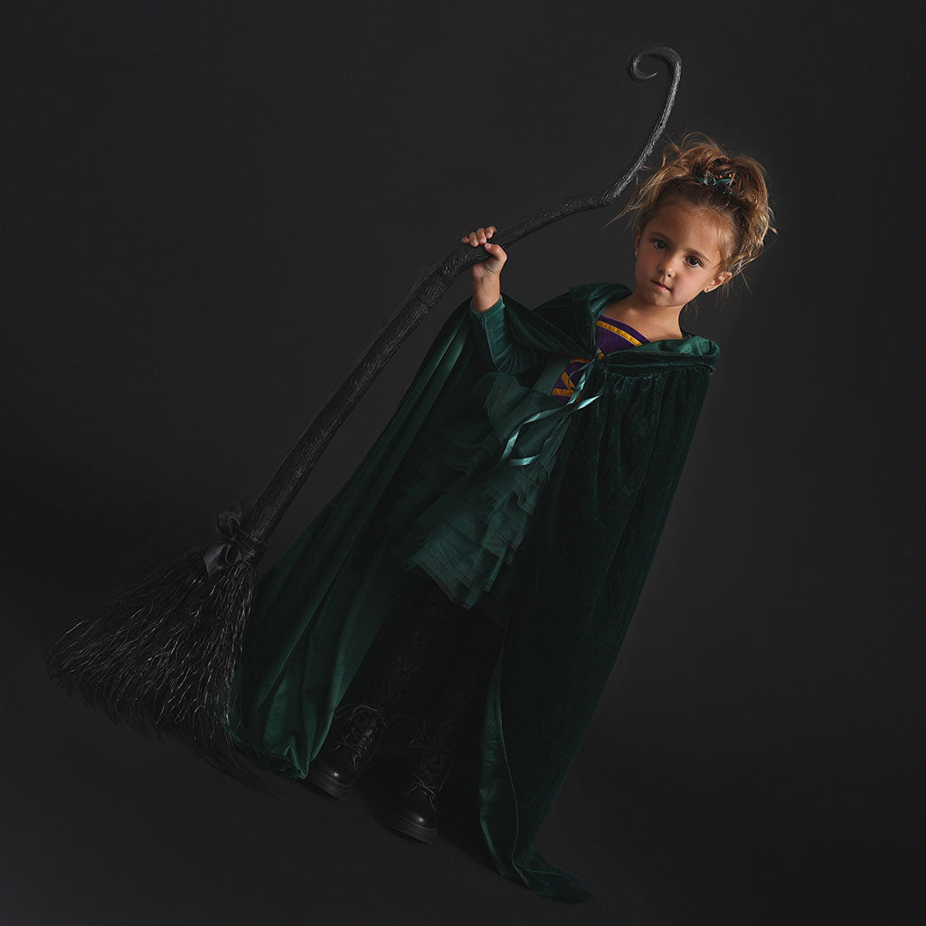 hocus pocus green dress Disney Winifred Velour Tulle hocus pocus fancy dress