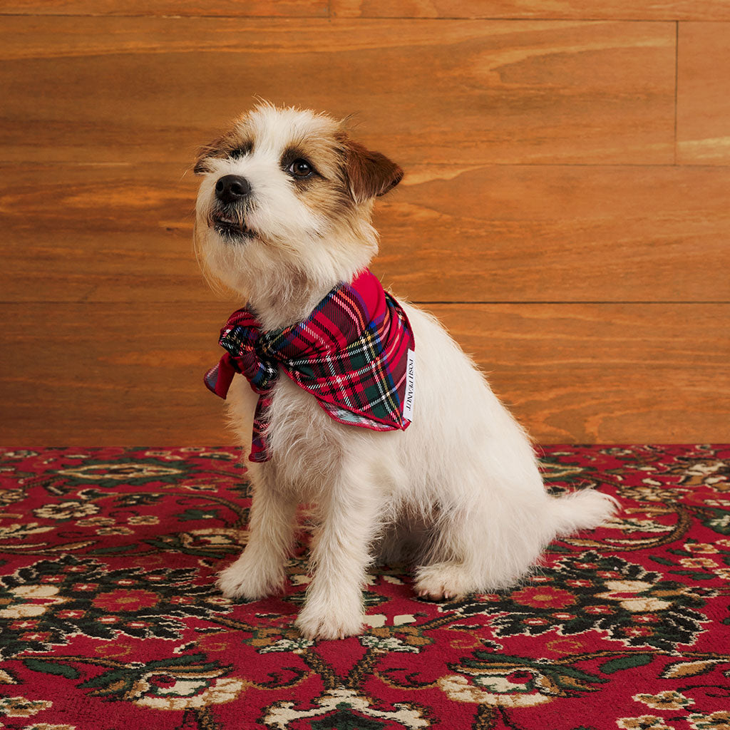 Tartan Plaid Dog Bandana