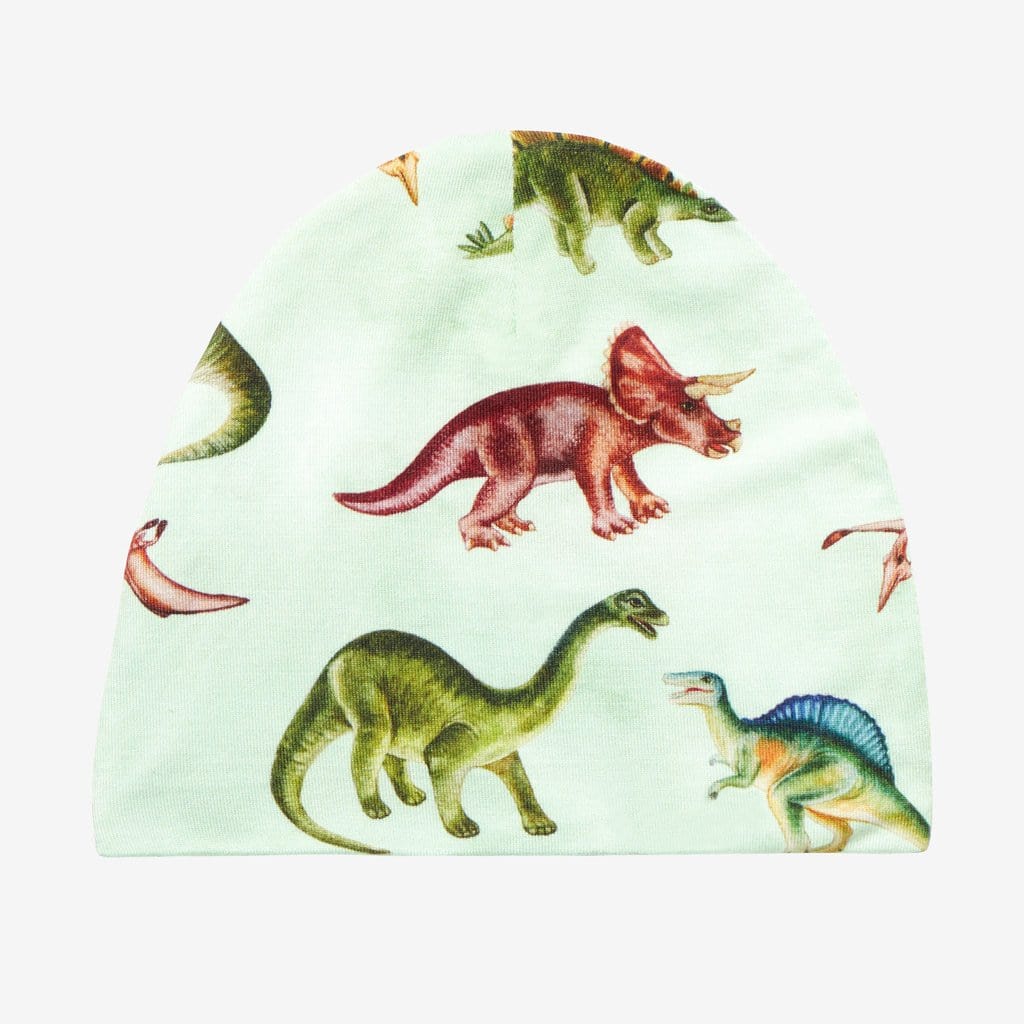 Dinosaur Swaddle Beanie Set Buddy